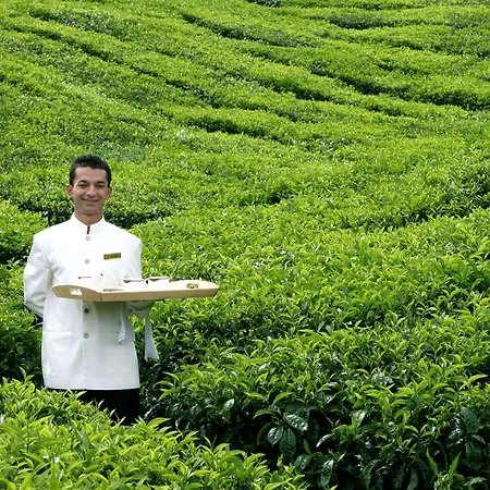 Cameron Highlands Resort - Small Luxury Hotels Of The World-3