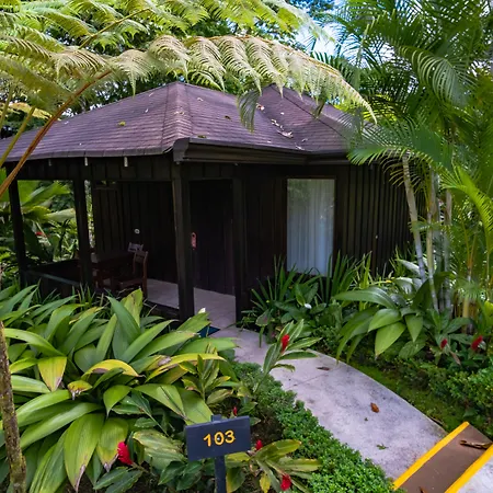 Hotel Lomas Del Volcan-3