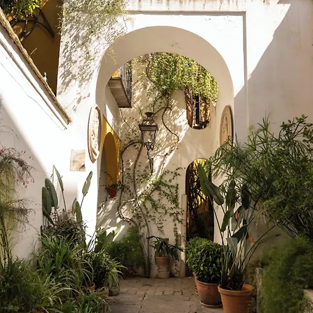 Hotel Las Casas De La Juderia-3