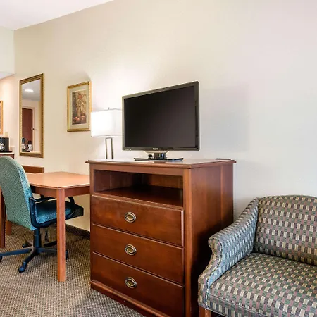 Quality Inn & Suites Tarpon Springs South-3