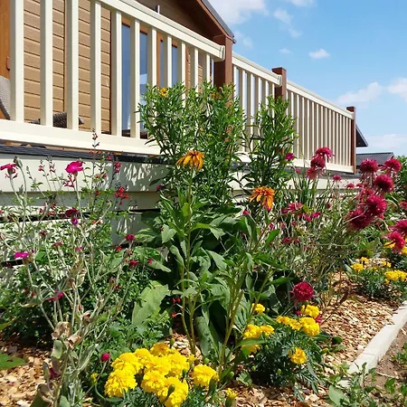 Otters Mead Boutique Lodges-2