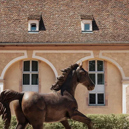 Hotel Les Haras By Stay Collection-3