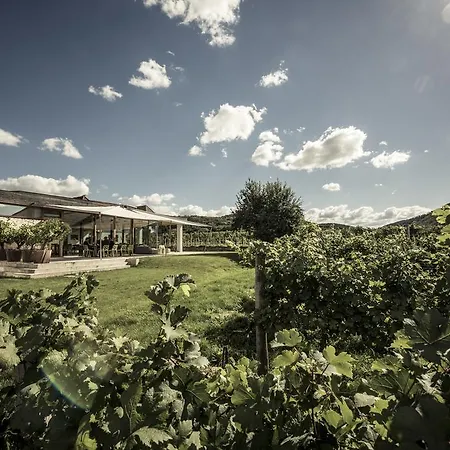 MALAT Weingut und Hotel-2