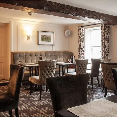 Trout Hotel-2