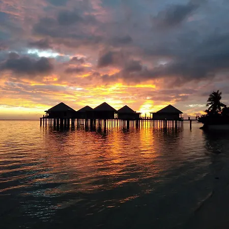 Coconuts Beach Club Resort And Spa-3