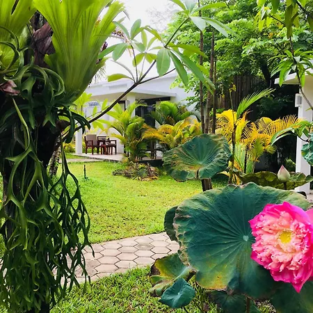Sahaa Beach Resort-3