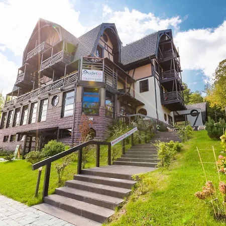 Boutique Hotel Sudetia - Medical & Spa-3