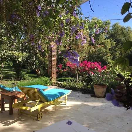 Los Naranjos Hotel Boutique-2