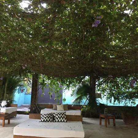 Los Naranjos Hotel Boutique-3
