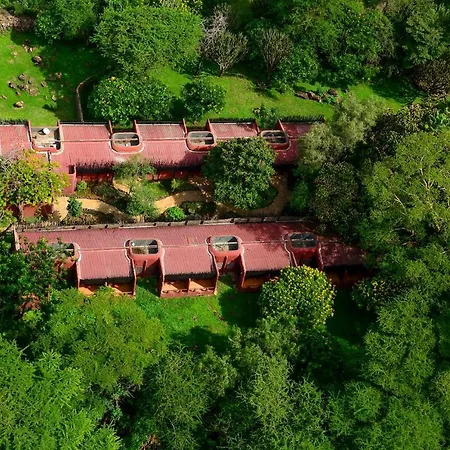 Amboseli Serena Safari Lodge-2