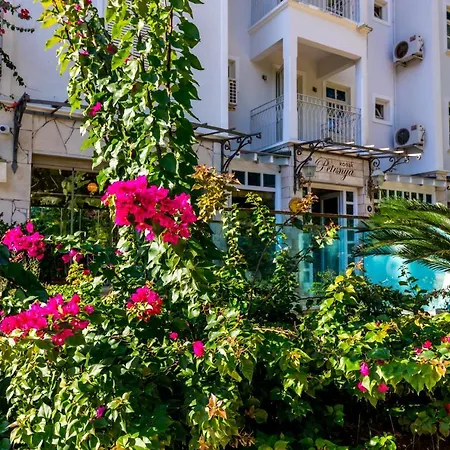 Petunya Konak Boutique Hotel-3
