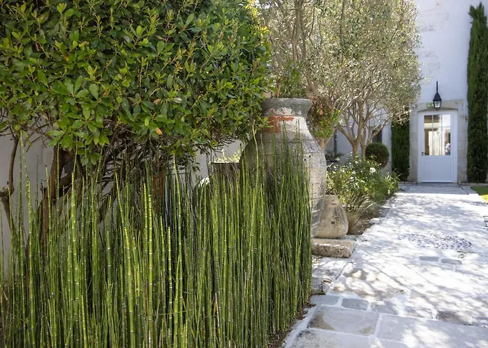 Villa Clarisse & Spa By Olivier Claire