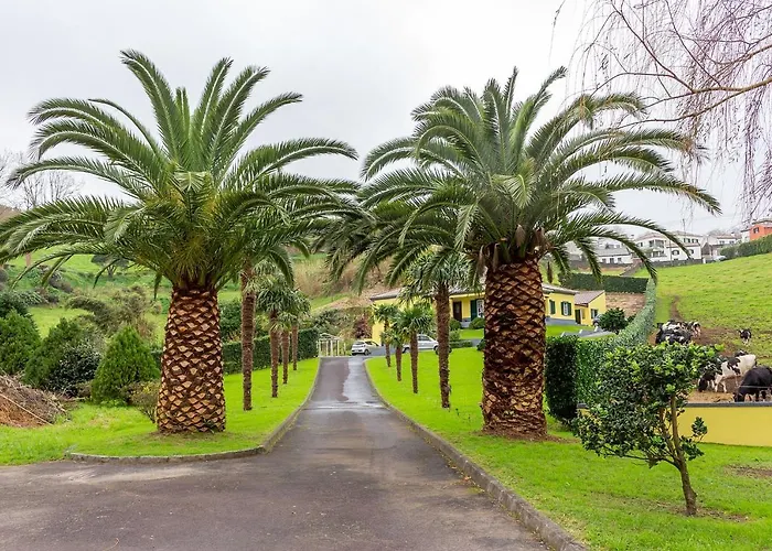 Quinta Das Palmeiras