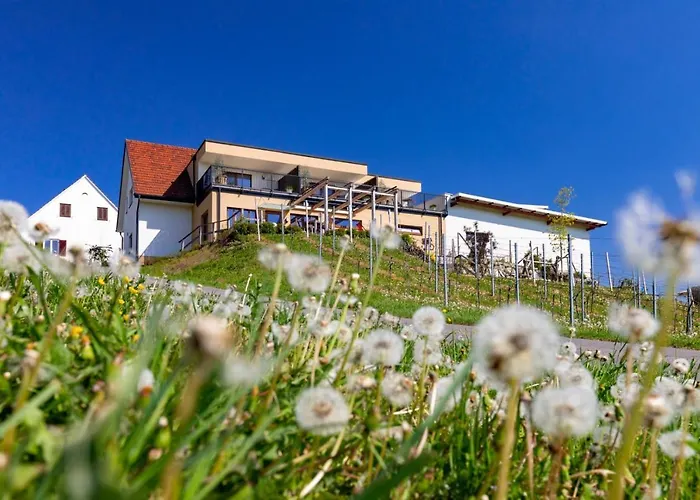 Weingut Perner