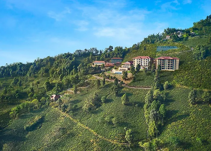 Taj Chia Kutir Resort & Spa Darjeeling
