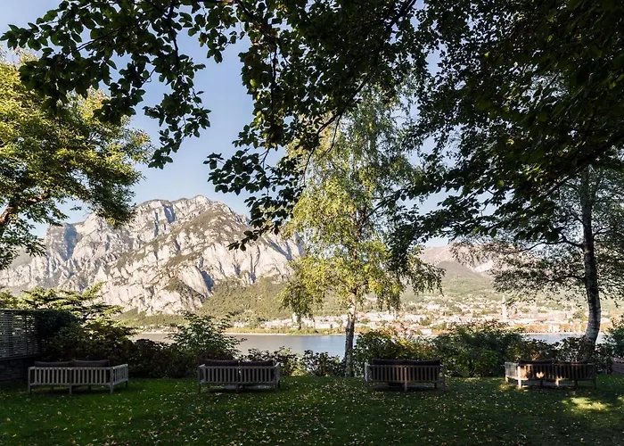 Casa Sull'Albero