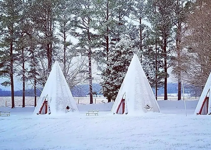 Historic Wigwam Village No 2