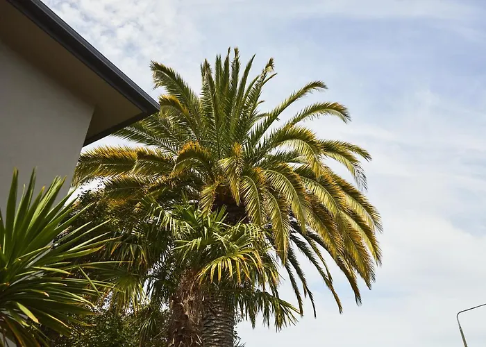 Blenheim Palms Motel