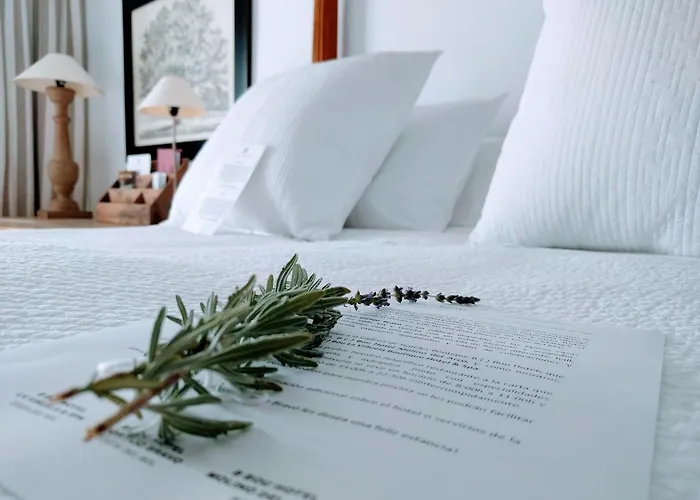 B Bou Hotel Cortijo Bravo Velez Malaga