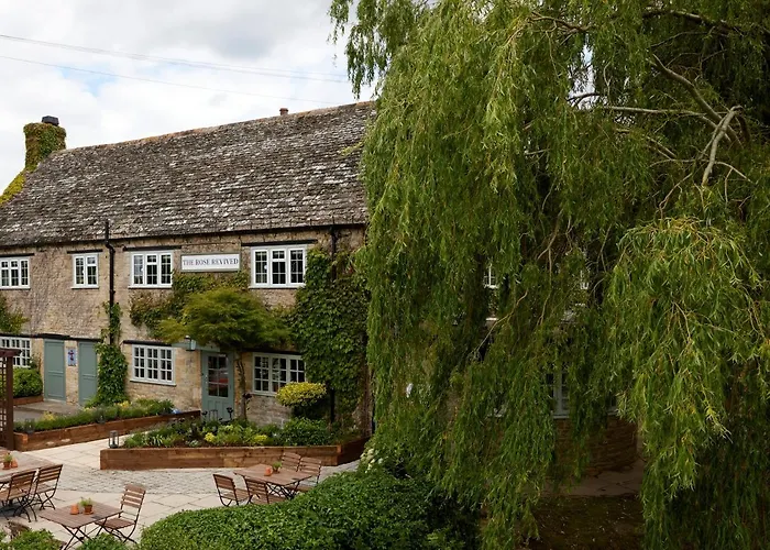Rose Revived By Chef & Brewer Collection