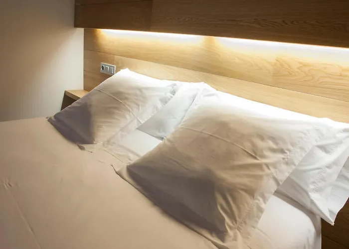 Hotel Estació Olot