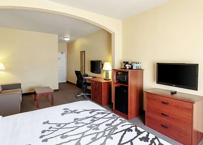 Sleep Inn & Suites Tyler South