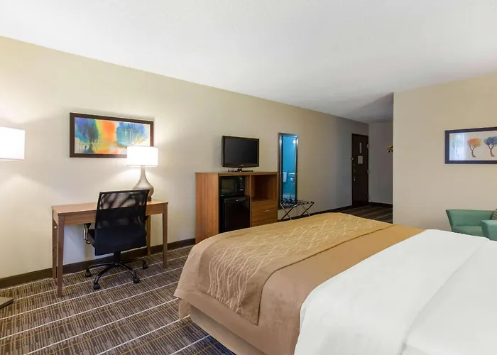 Quality Inn Stephens City-Winchester South