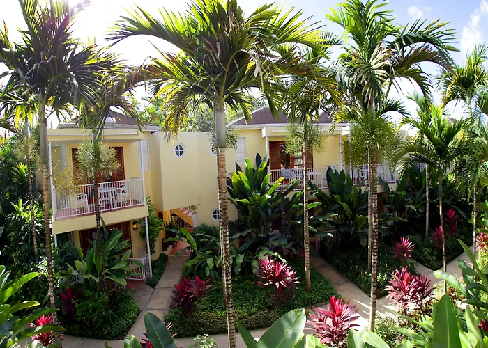 Palms