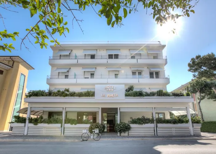Hotel La Pineta