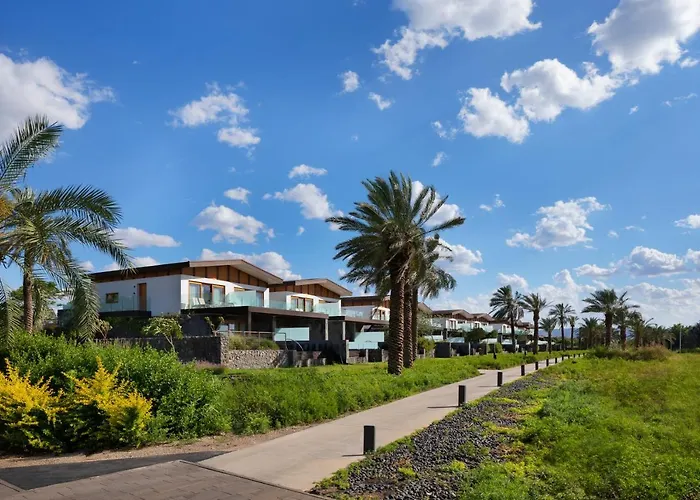 The Setai Sea Of Galilee