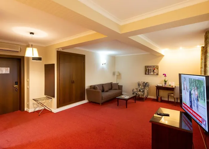 Hotel Art Buzau