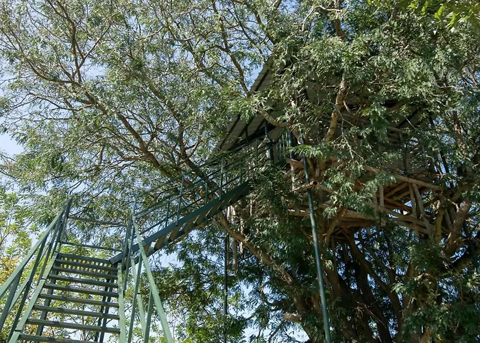 Bamboo Banks Farm & Guest House