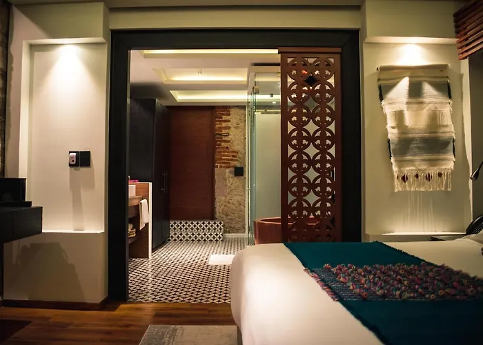 Hotel Boutique Rayón 50