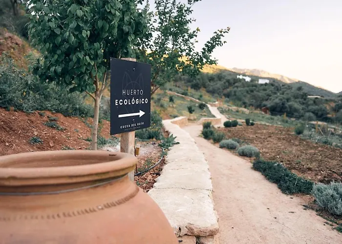 Eco Hotel Cueva Del Gato Benaoján