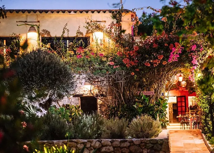 Pikes Ibiza (Adults Only) Hotel San Antonio 