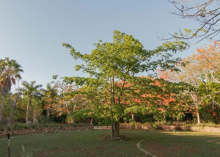 Hacienda Shambalante