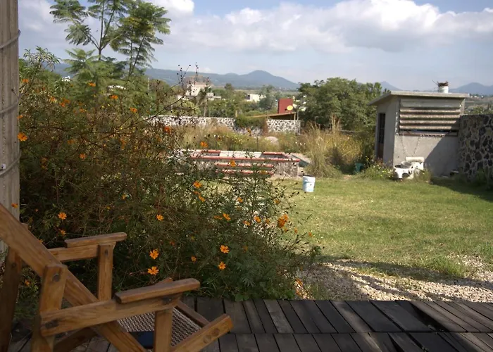 Casa De Huespedes Colmena