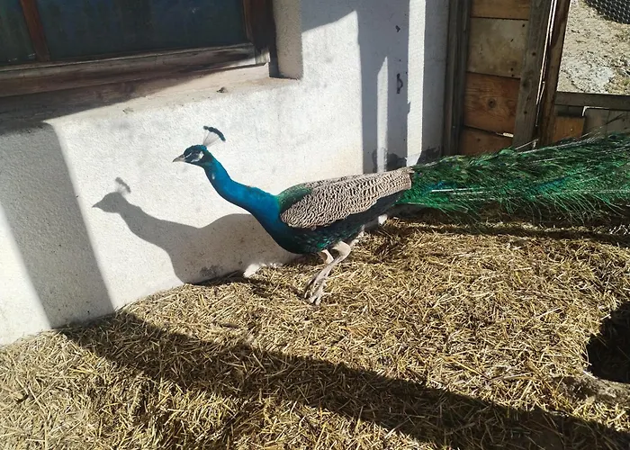Greiterhof Partschins