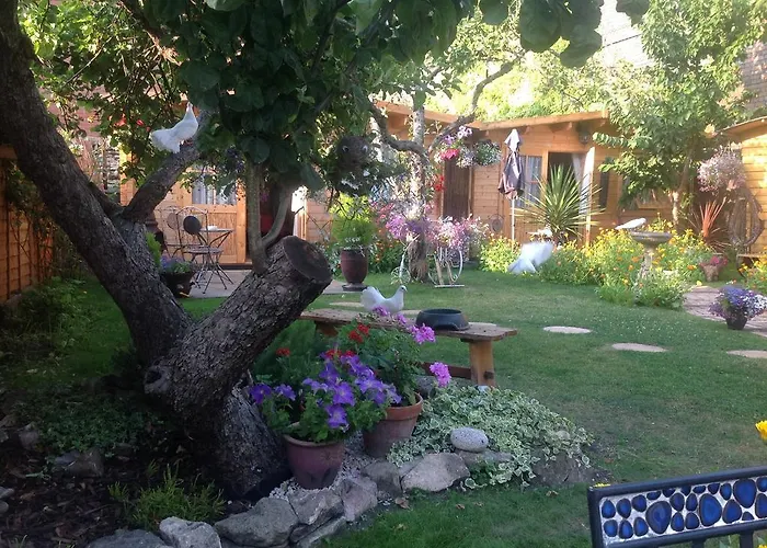 Alice Guest House