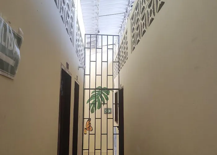 Nuevo hospedaje benny