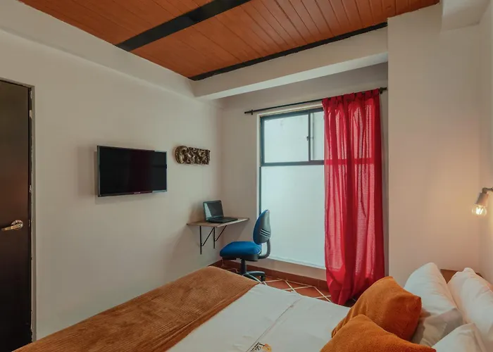 Casa Los Naranjos Hostal
