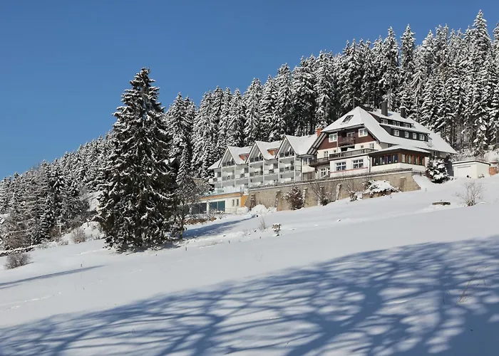 JUFA Hotel Schwarzwald