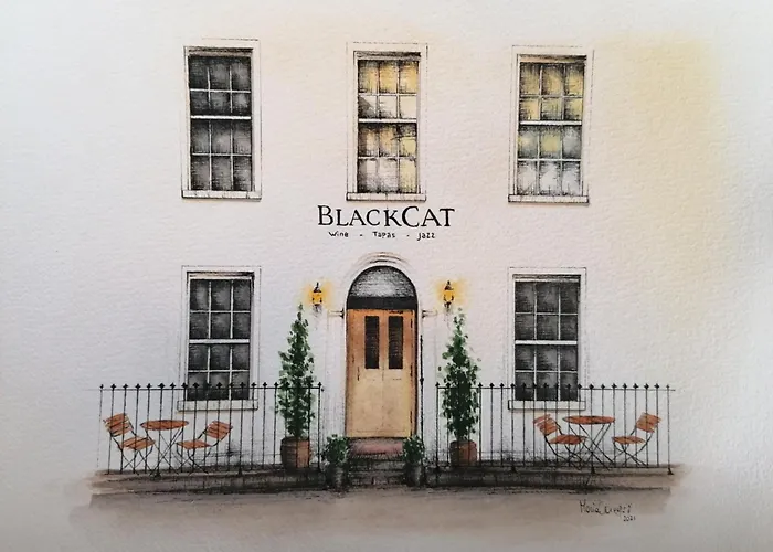 Black Cat