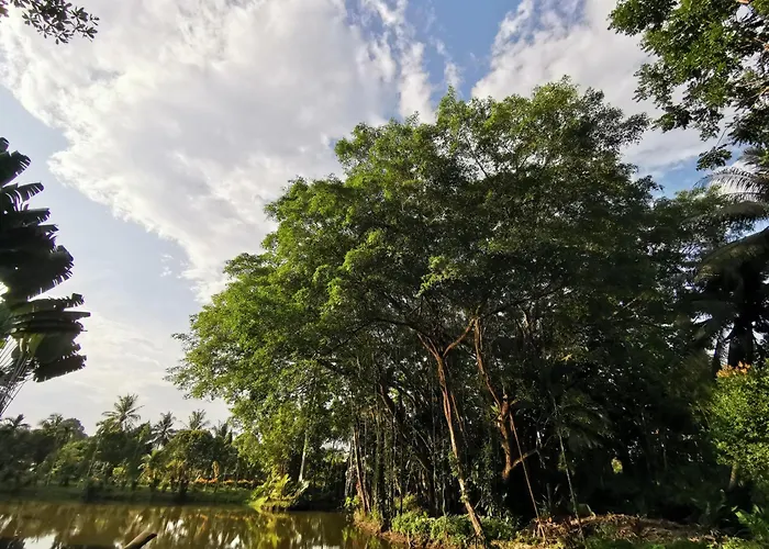 Sepilok Jungle Resort