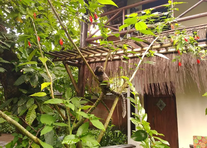 Pousada Fruta Pao