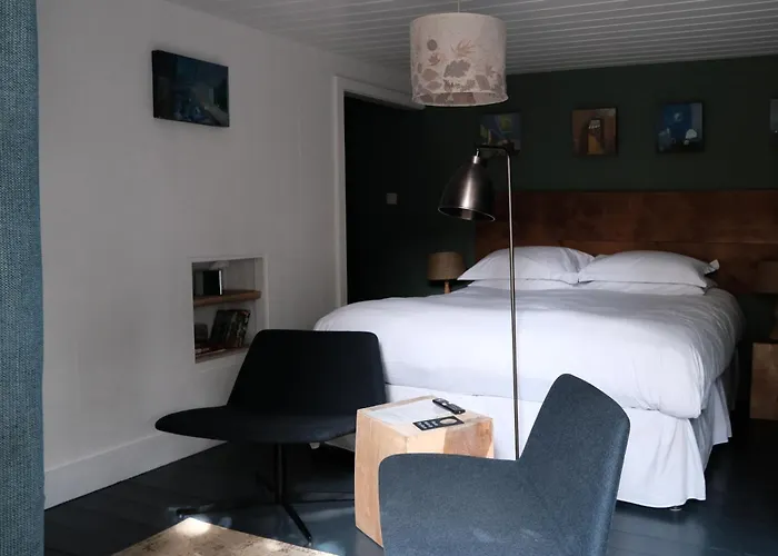 Llys Meddyg Hotel Newport 