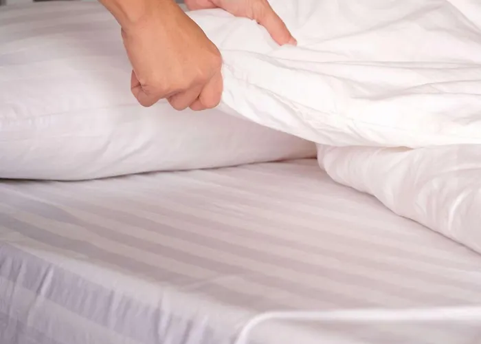 Econo Lodge Inn & Suites Ocean Springs - Biloxi