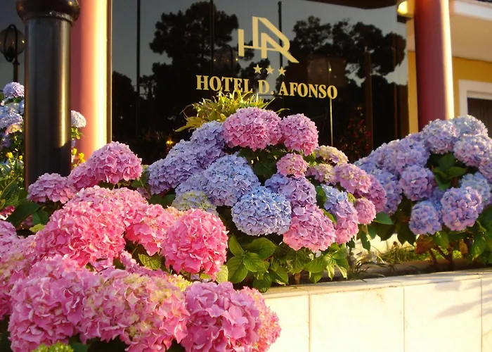 D. Afonso Hotel & Spa