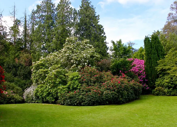 Maryborough Hotel & Spa Cork
