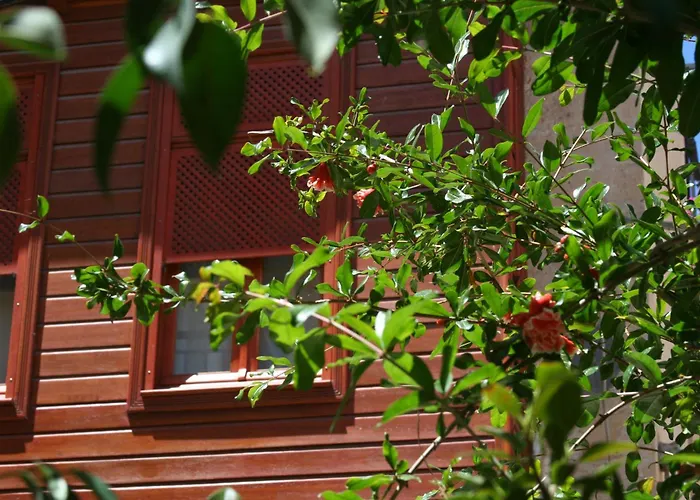 Ionas Boutique Hotel